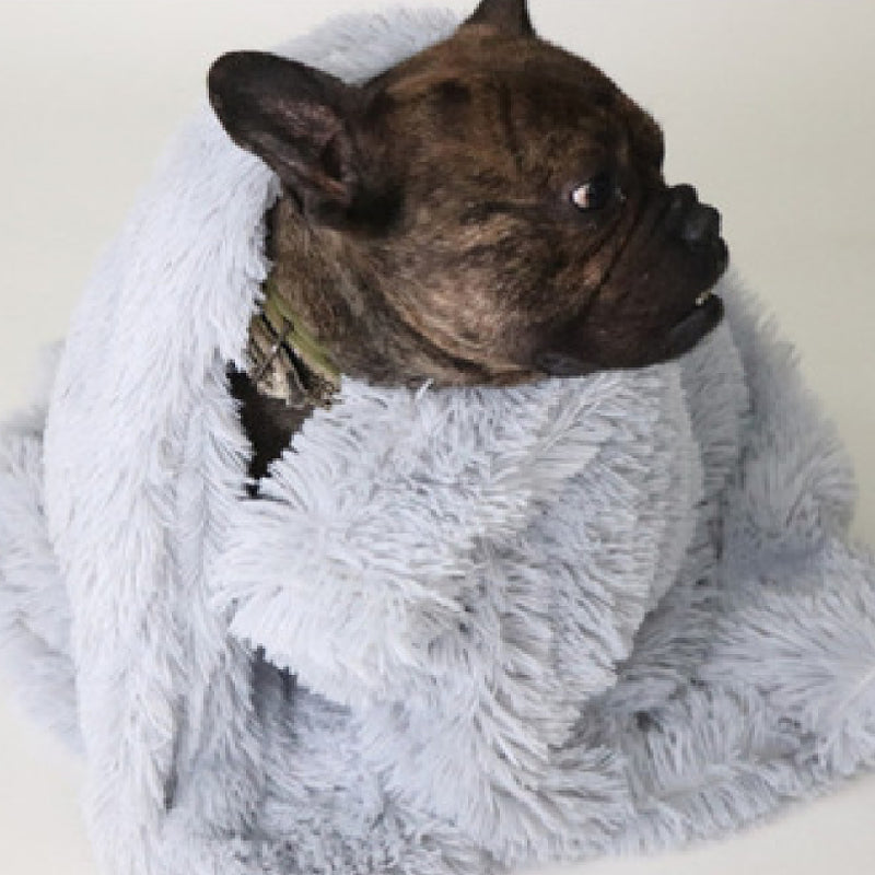 Soft Pet Blanket For Warmth And Everyday Comfort